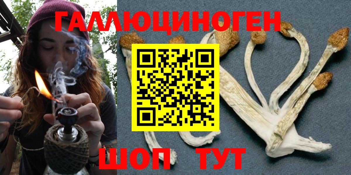 Псилоцибиновые грибы GOLDEN TEACHER Вязники